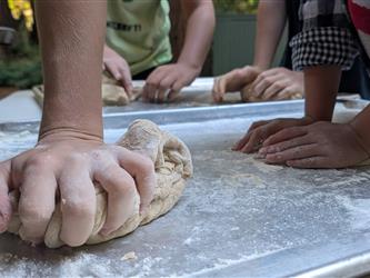 Small hands kneading dough